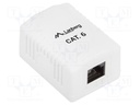 Wall socket; white; Cat: 6; RJ45 socket; wall mount; IP20